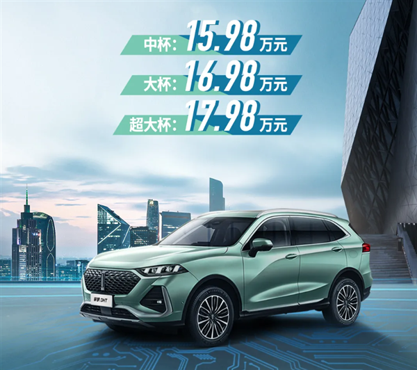wey全新suv拿铁悬架(上市:15.98万元起 能跑1000公里)