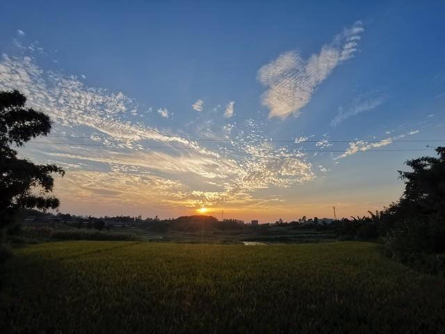 大智若愚是什么意思的意思(真正的大智若愚是什么格局)