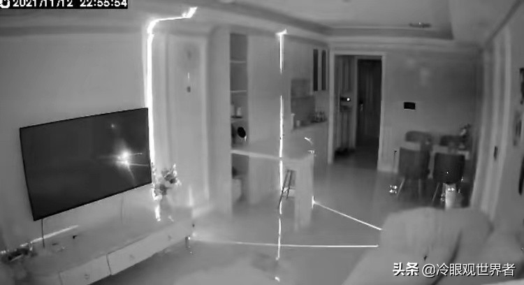 猫咪把空气净化器当坐骑(搞笑出场自带特效)