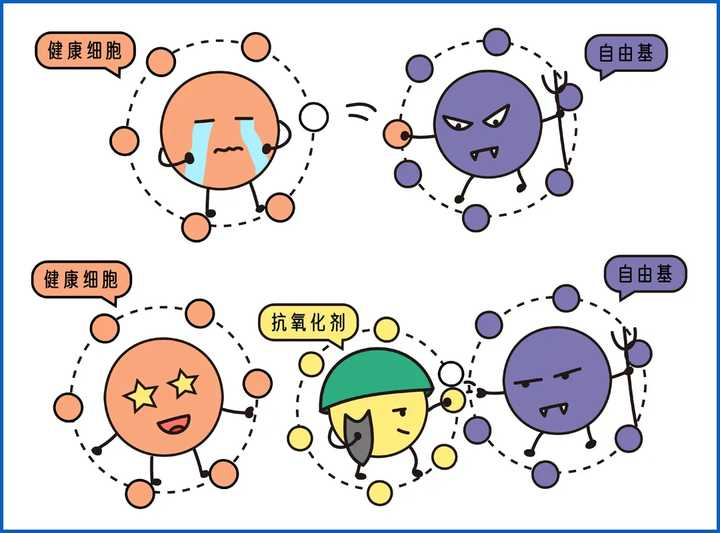 全网都在疯狂安利的「早C晚A」，真的可以美白抗老？