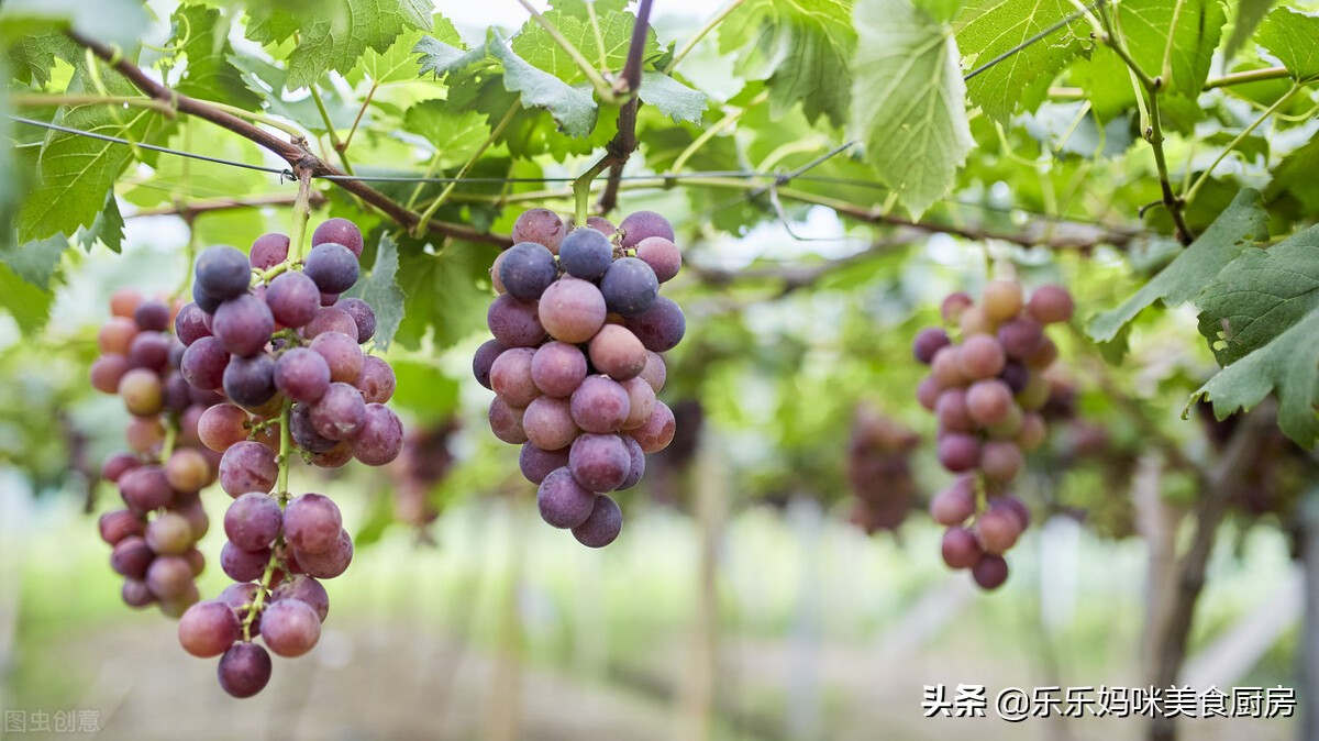 6种常见水果含糖量大排名，搞清楚后再吃，吃得健康也放心