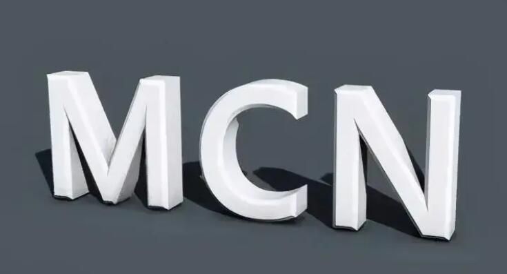 mcn机构是什么意思啊(2022国内mcn机构主要的工作)