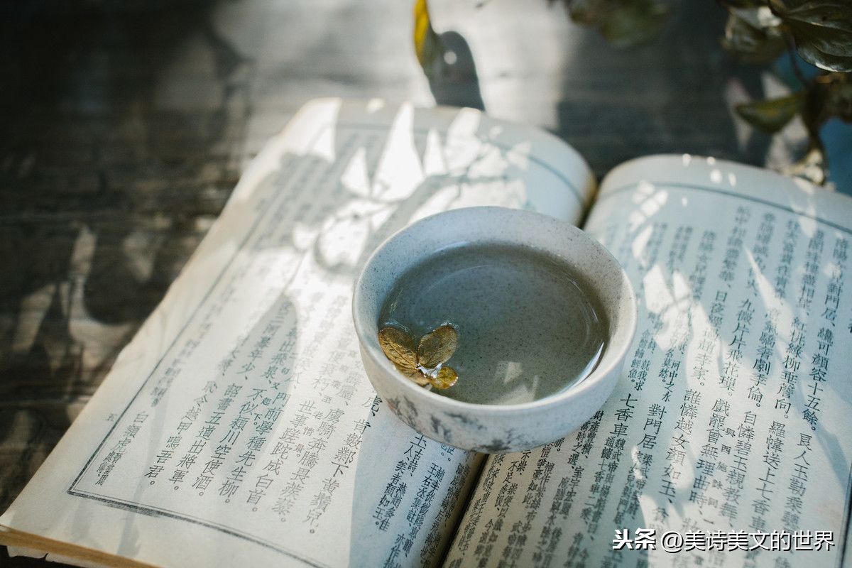 但愿人长久千里共婵娟的意思(但愿人长久是指爱情吗)