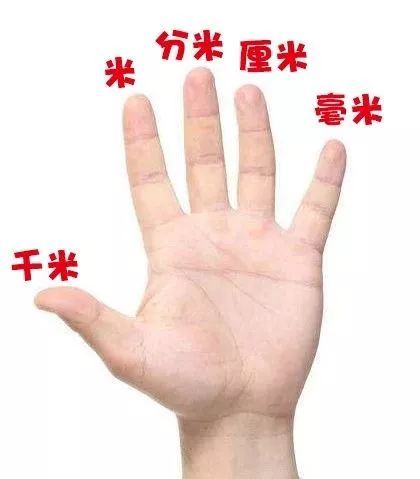 一厘米等于多少毫米多少分米(小学全部单位换算)