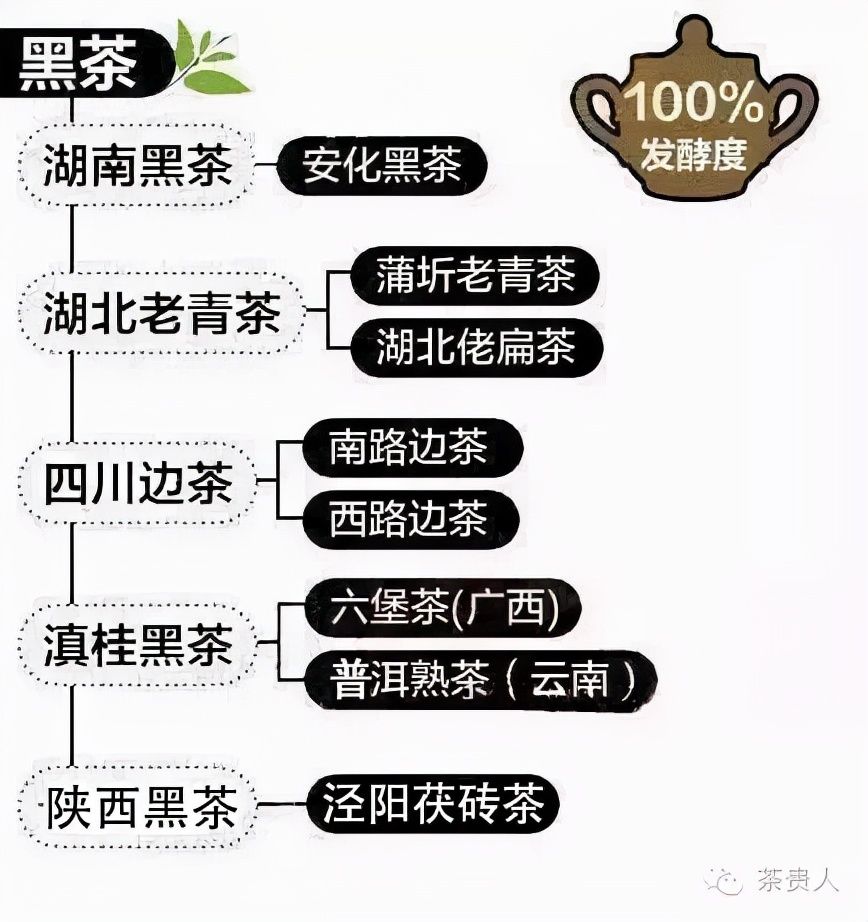 常见茶叶的种类有哪些(简明的中国茶叶种类大全及图片)