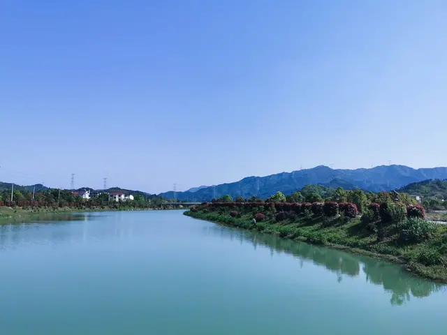 表现手法有哪些(常见表现手法及其作用)