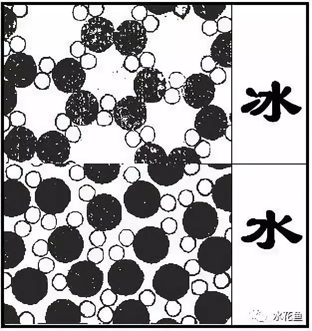 简析：水在4℃时密度最大的原理与水产养殖的关系