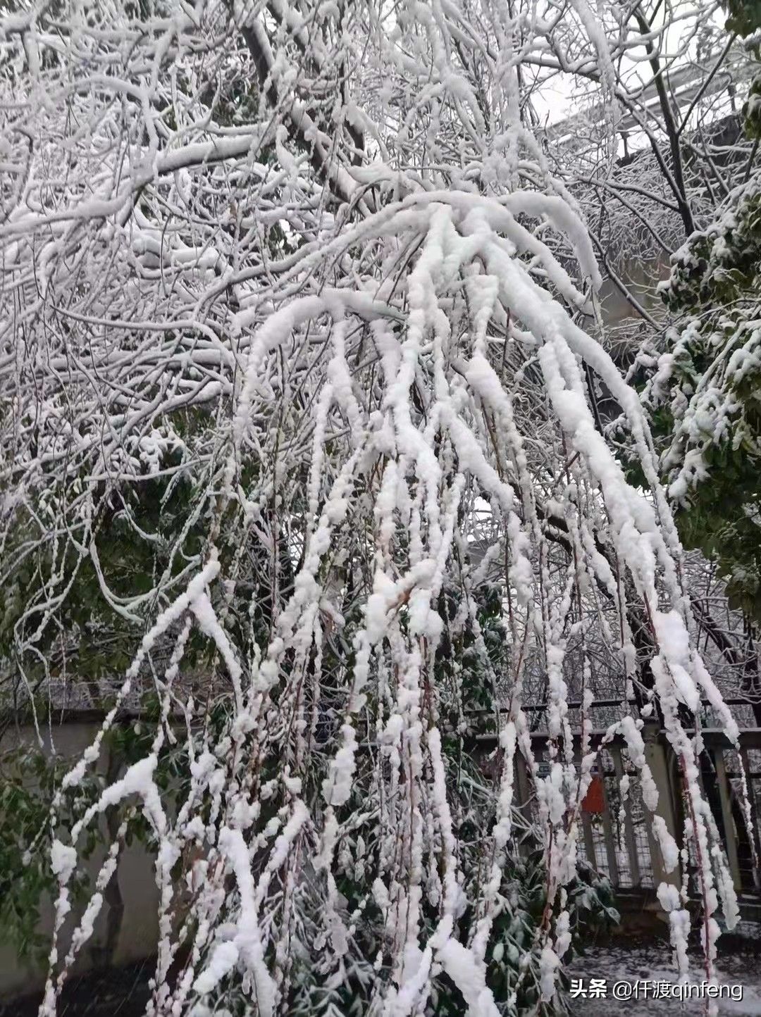 雪地里的小画家