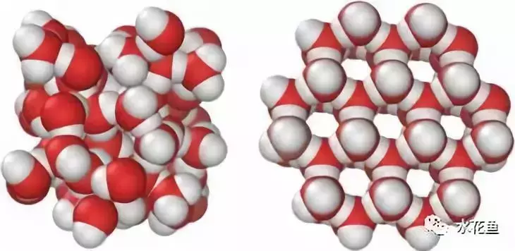 简析：水在4℃时密度最大的原理与水产养殖的关系