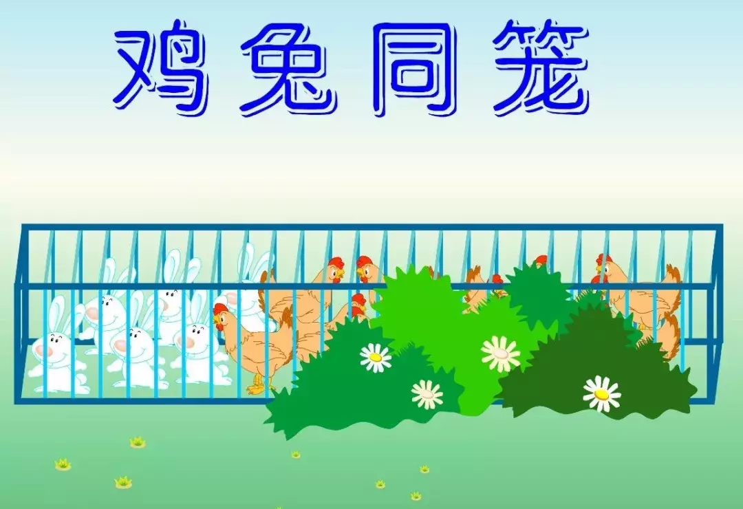鸡兔同笼问题简单解法公式(鸡兔同笼13种解题方法)