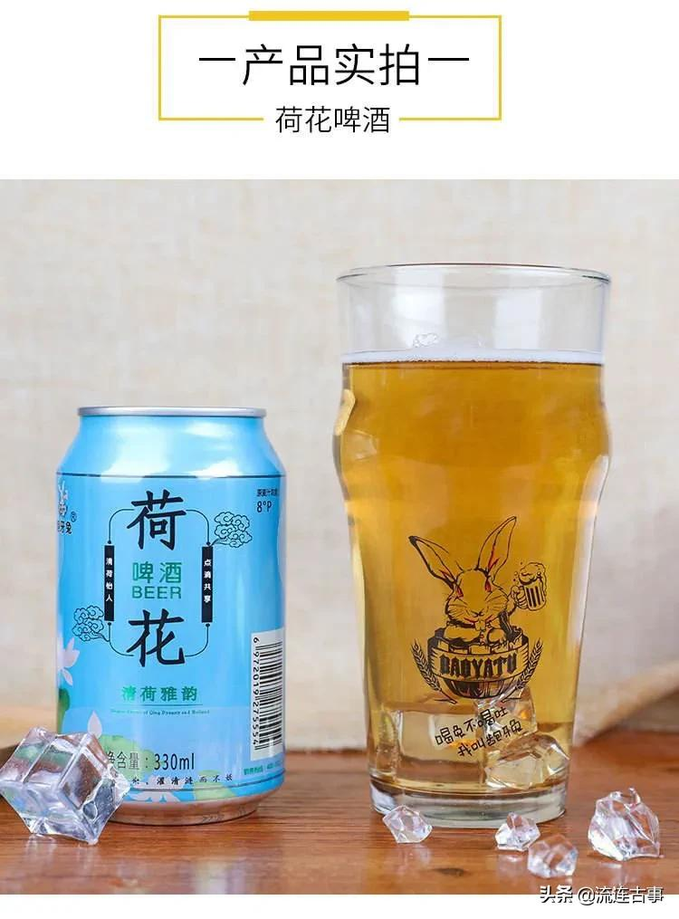 荷花啤酒全国招代理，0元加盟