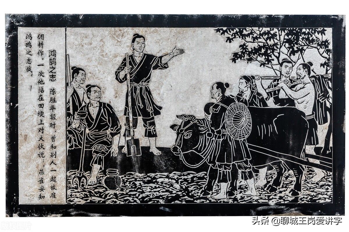 汉字秘密：“苟”和“茍”一样吗？原来从来没发现过