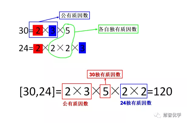 小公倍数是怎么算出来的（快速求出小公倍数的方法）