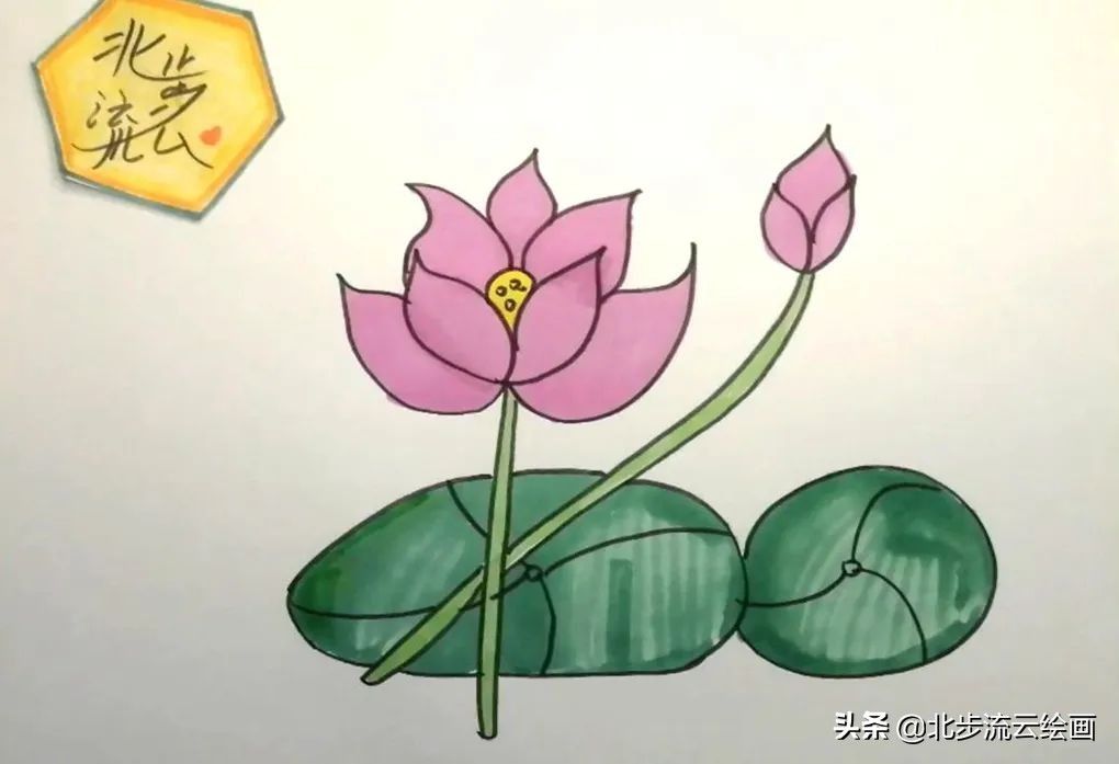 简单易学的荷花简笔画，让孩子轻松掌握绘画技巧，培养绘画兴趣