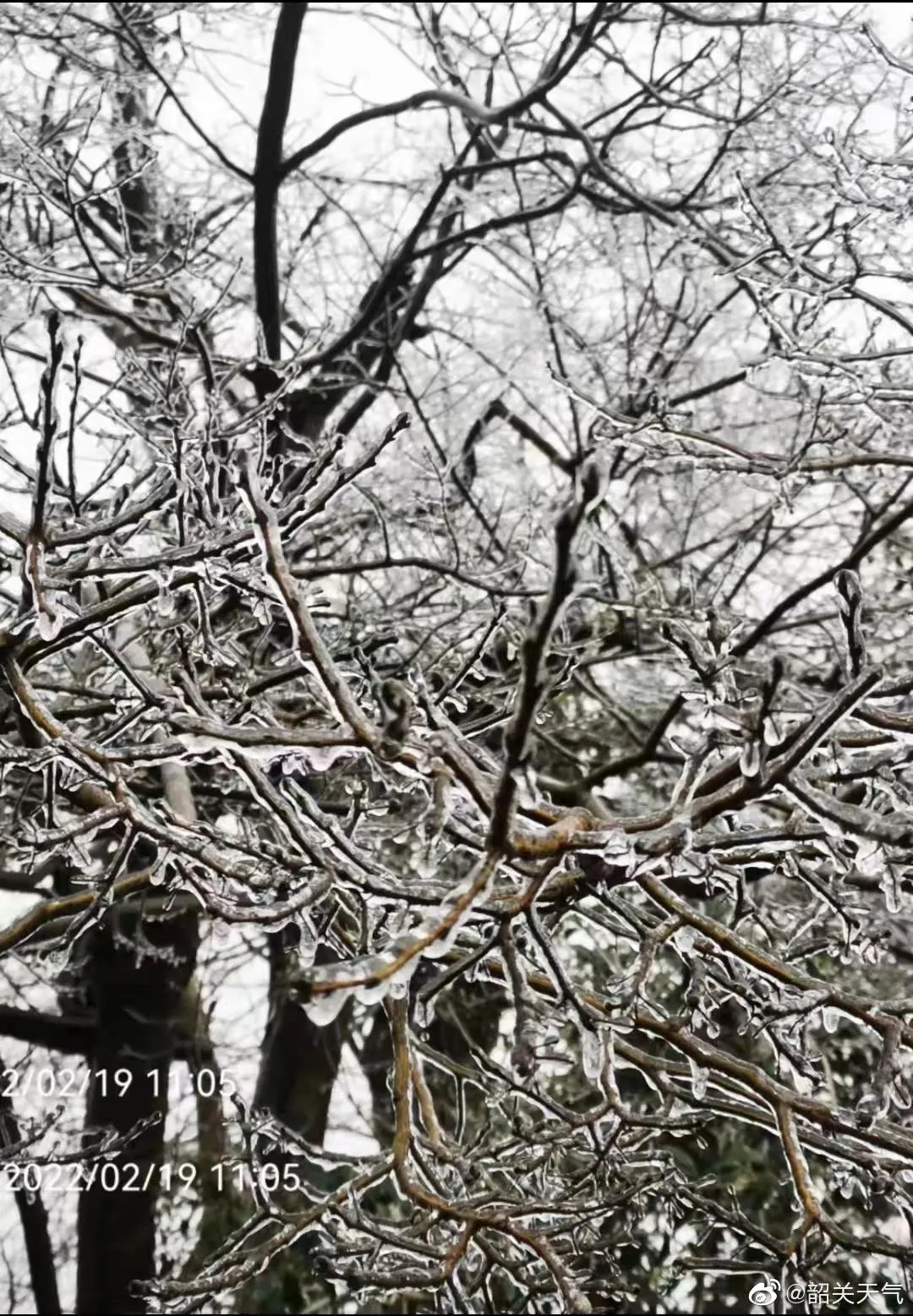 ﹣3°C，广东下雪了！朋友圈刷屏