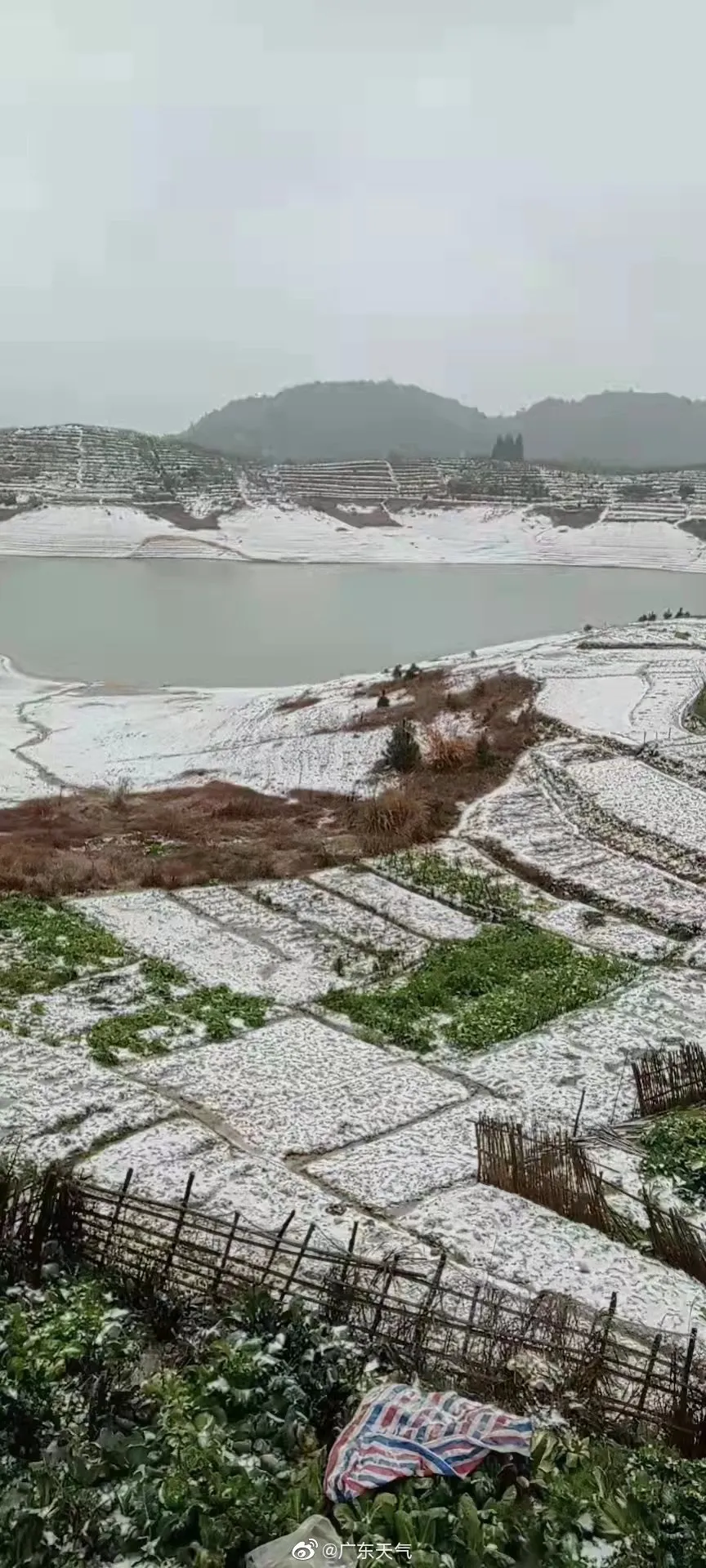 ﹣3°C，广东下雪了！朋友圈刷屏