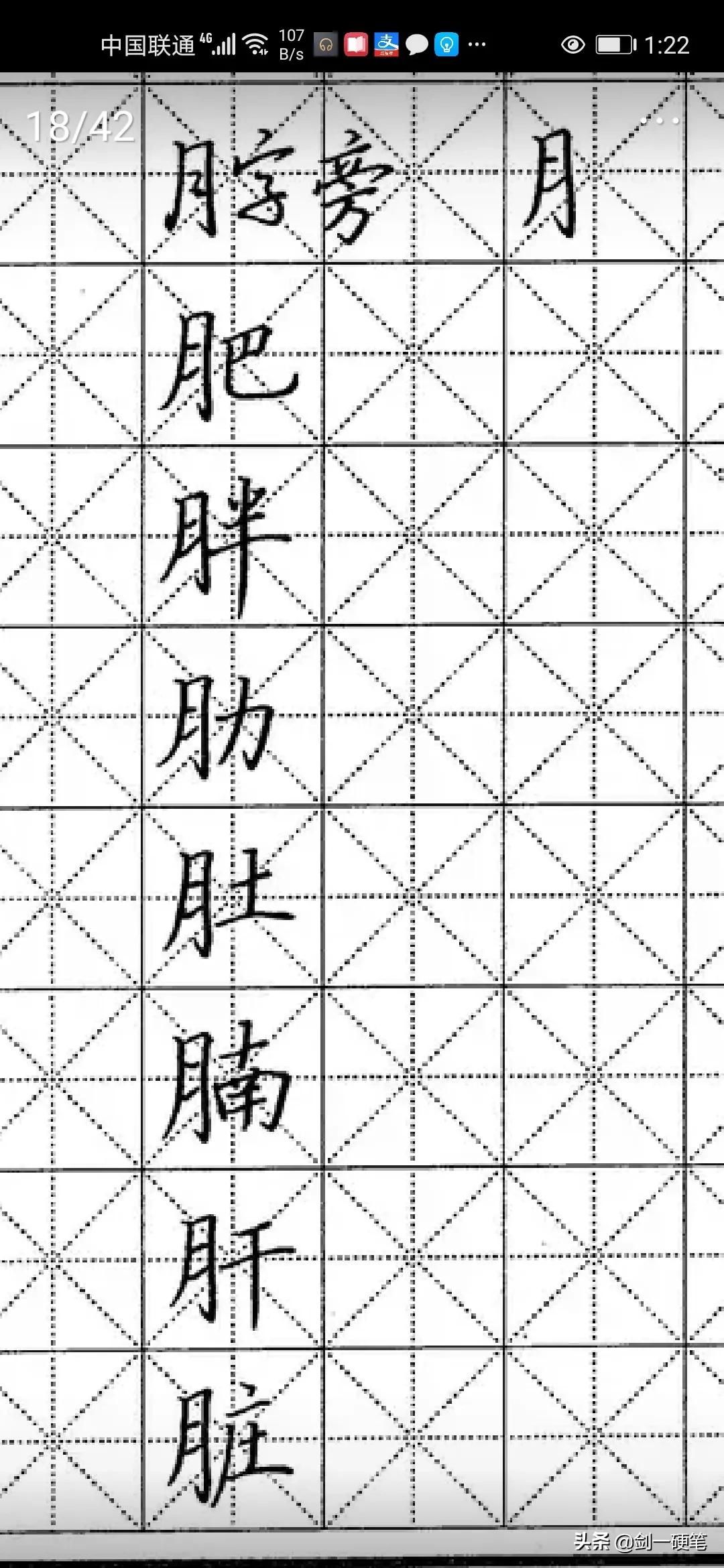月字旁的字有哪些字(月字旁的字为什么和身体有关)