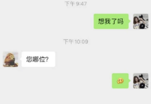 问很久不见的朋友“想我了吗？”看到回复笑出了猪叫，网友：优秀