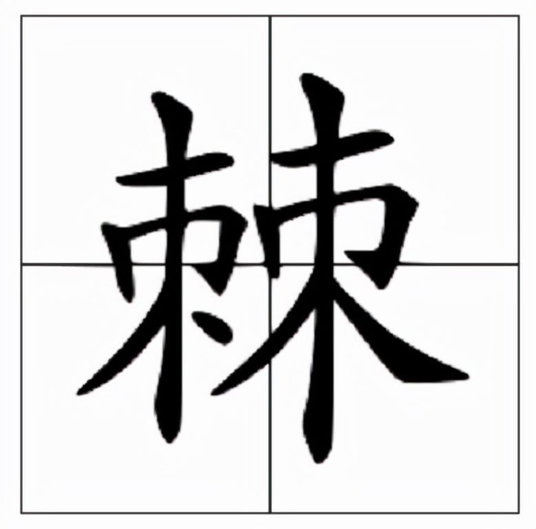 棘怎么读什么意思(棘的读音和意思解释)