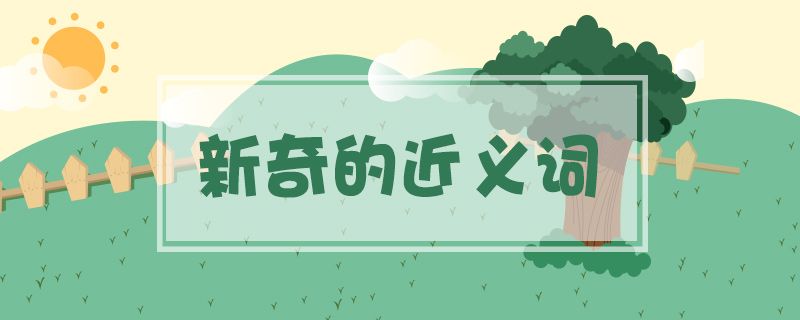 新奇的近义词有哪些(新奇的近义词标准答案)