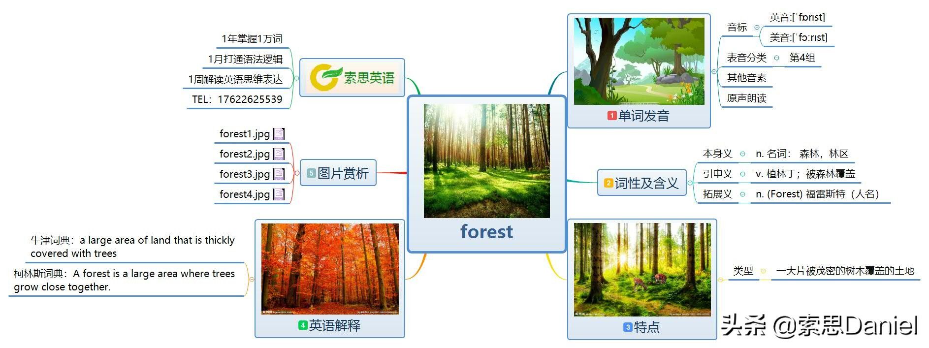 forest是什么意思翻译成中文（森林的英语单词怎么读）