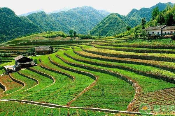 一亩等于多少公顷的换算(农村土地单位换算小技巧)