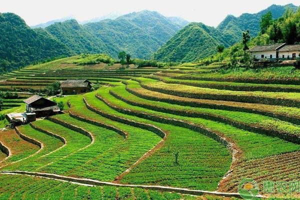 一亩等于多少公顷的换算（农村土地单位换算小技巧）