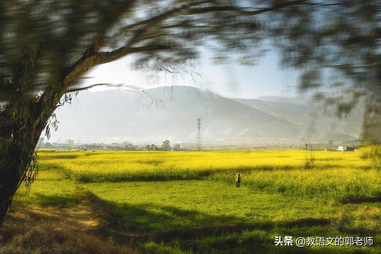 写春天的诗句古诗有哪些(描写春天优美古诗大全36首)