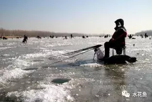 简析：水在4℃时密度最大的原理与水产养殖的关系