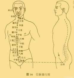 任督脉与营气的运行方向如何?