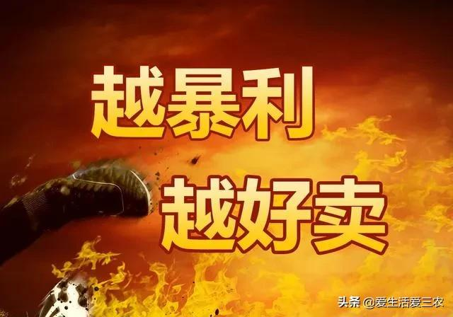 小型加工致富项目(五个投资小利润高的农村小型加工厂)
