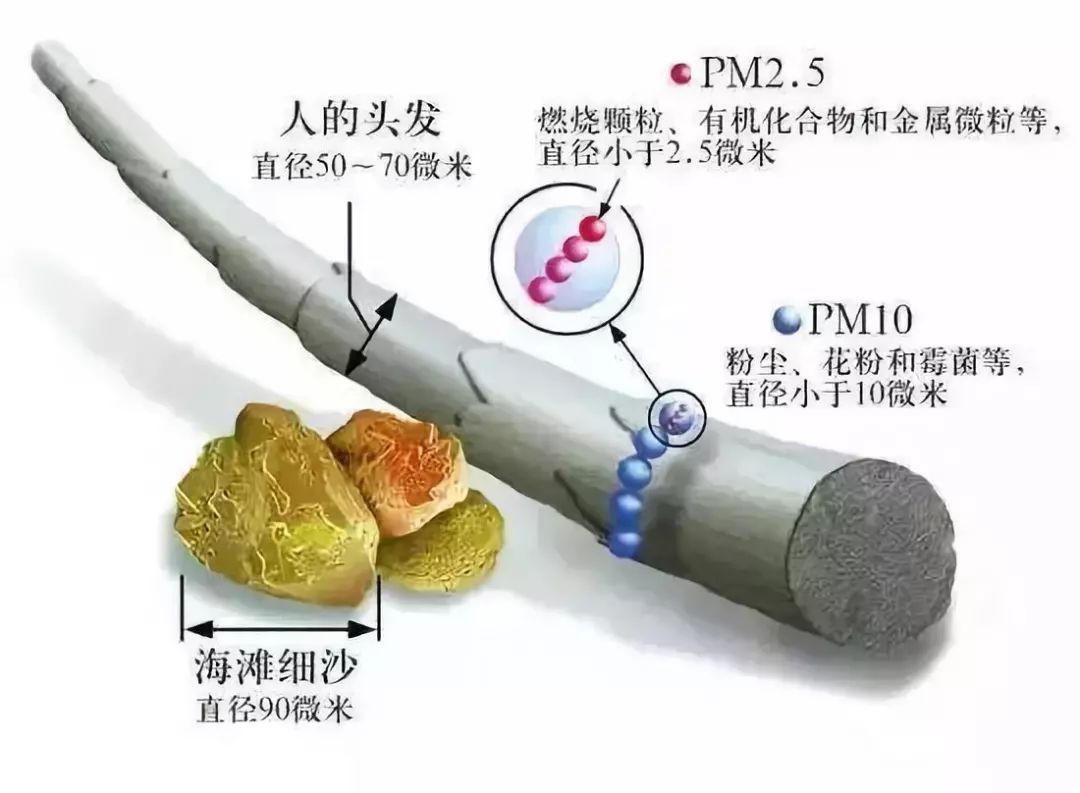 「科普」PM2.5和PM10的来源、危害和区别，别被孩子问倒了