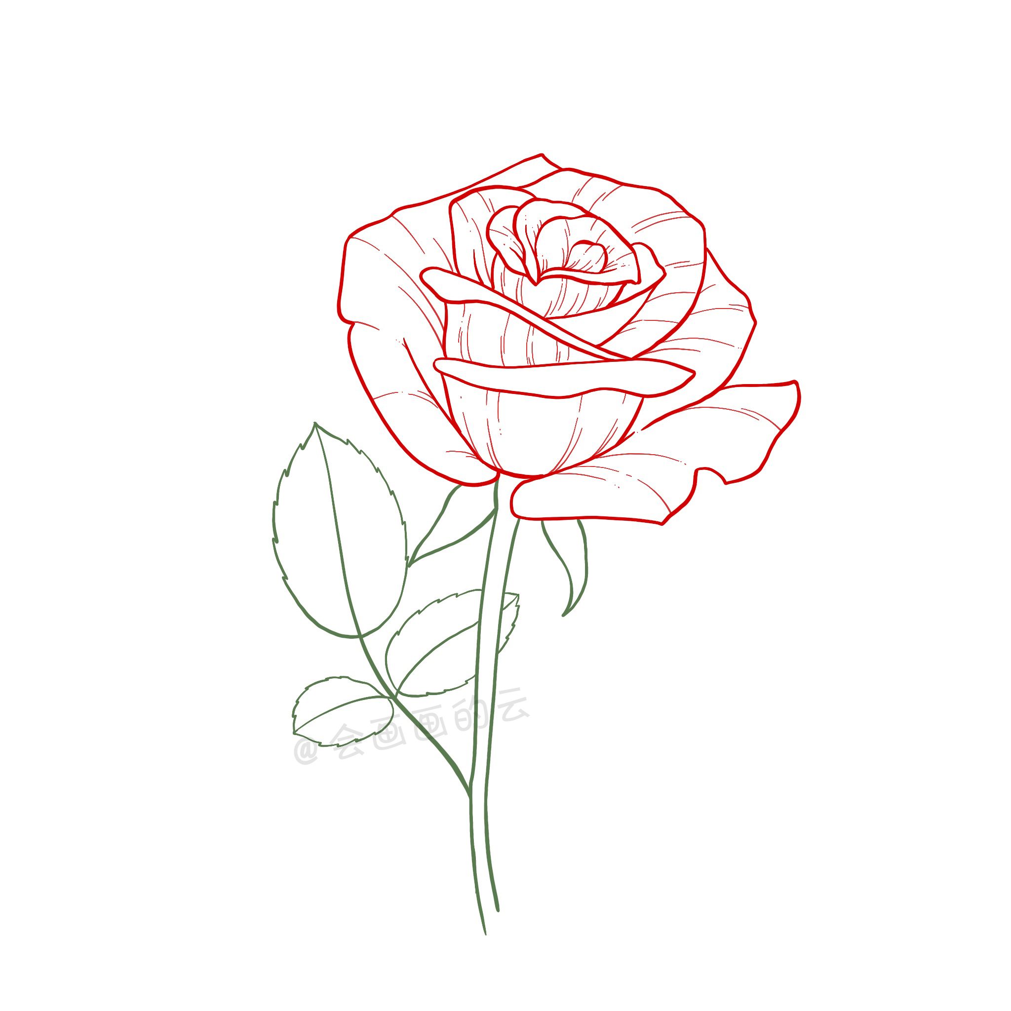 教你如何用简笔画的方式画2朵玫瑰花，你学会了吗？