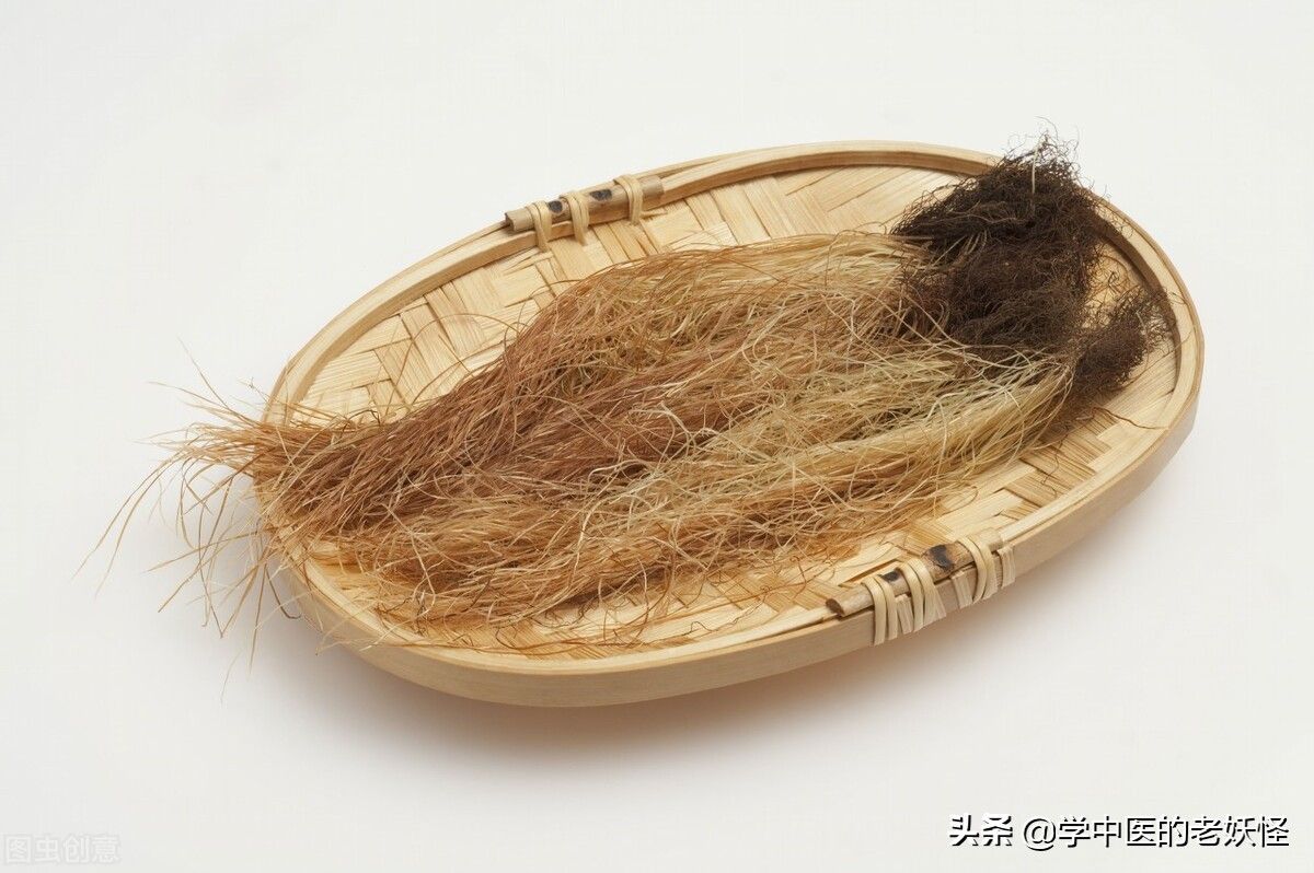 玉米须的功效与作用(玉米须水是寒性还是温性)