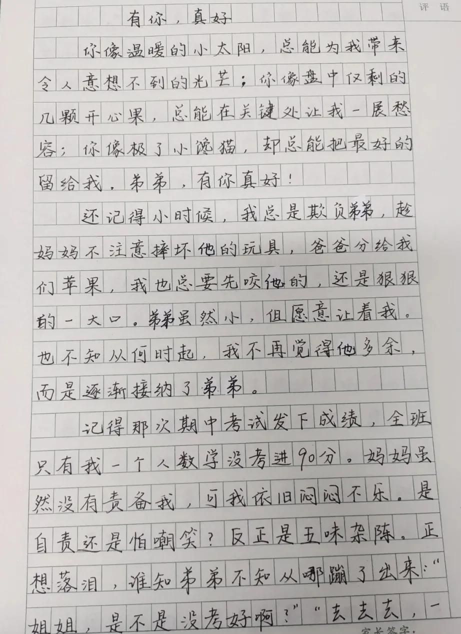 满分好作文摘抄大全(值得摘抄的优秀好作文有你,真好)
