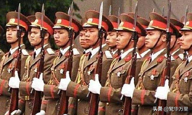 越南人口2021总人数是多少(越南人口和国土面积)