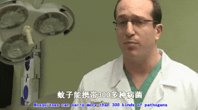 蚊子在地球上到底有什么用(如果蚊子灭绝了会怎么样)