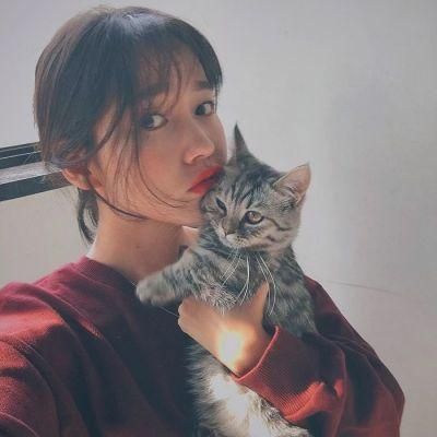 搞笑群名称大全逗比(新搞笑奇葩的闺蜜同学群名称大全)