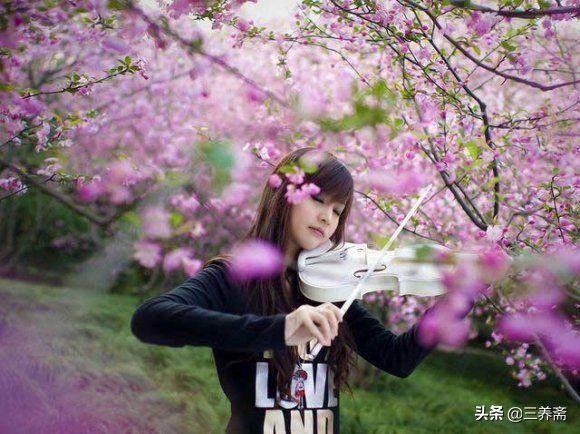 关于春天的古诗有哪些(孟浩然的春晓古诗描写春天)