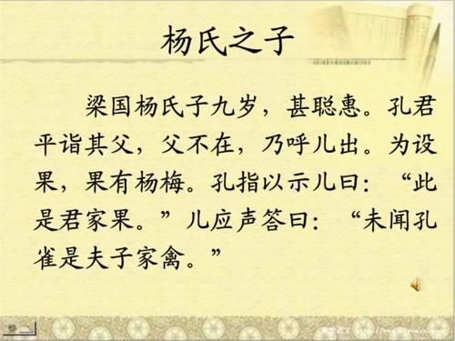 杨氏之子文言文原文及翻译(杨氏之子解读及创作背景)