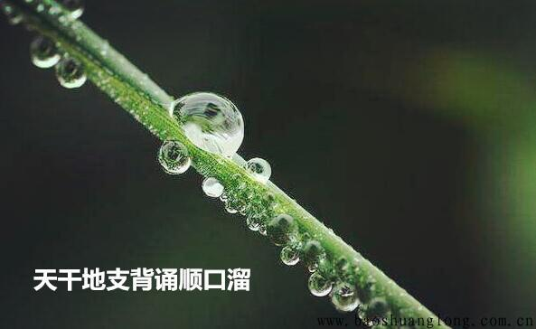 天干地支背诵顺口溜