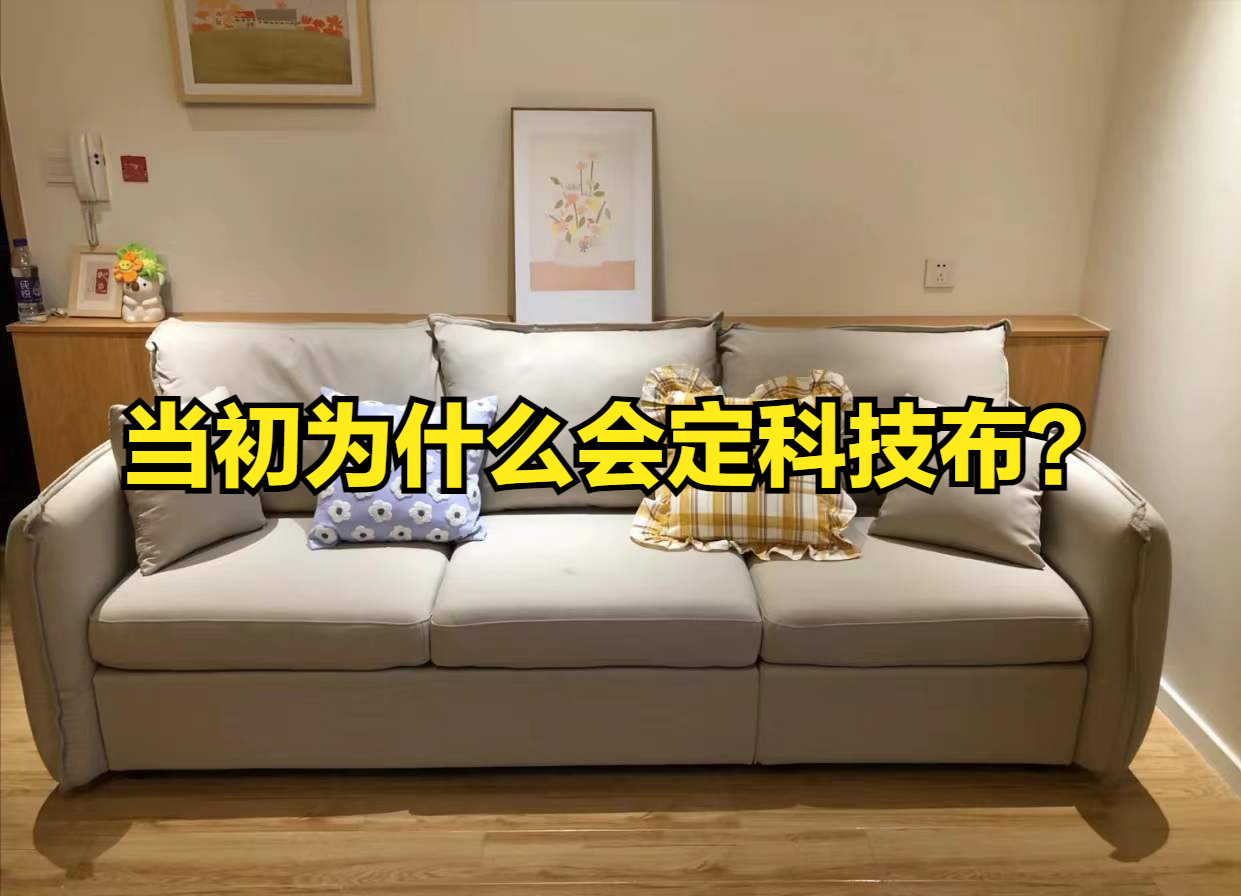 买科技布沙发理由及使用体验(科技布沙发优缺点)