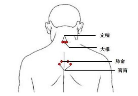 艾灸部位图解与功效(艾灸这7个穴位的好处)