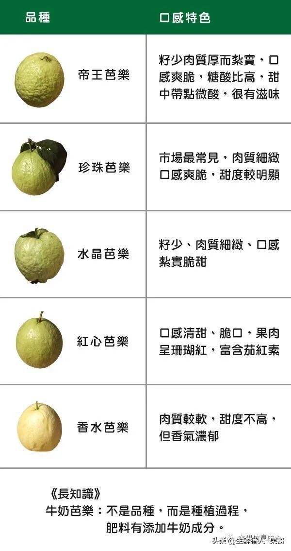小众水果芭乐，又被茶饮店们带火了，最全芭乐说明书