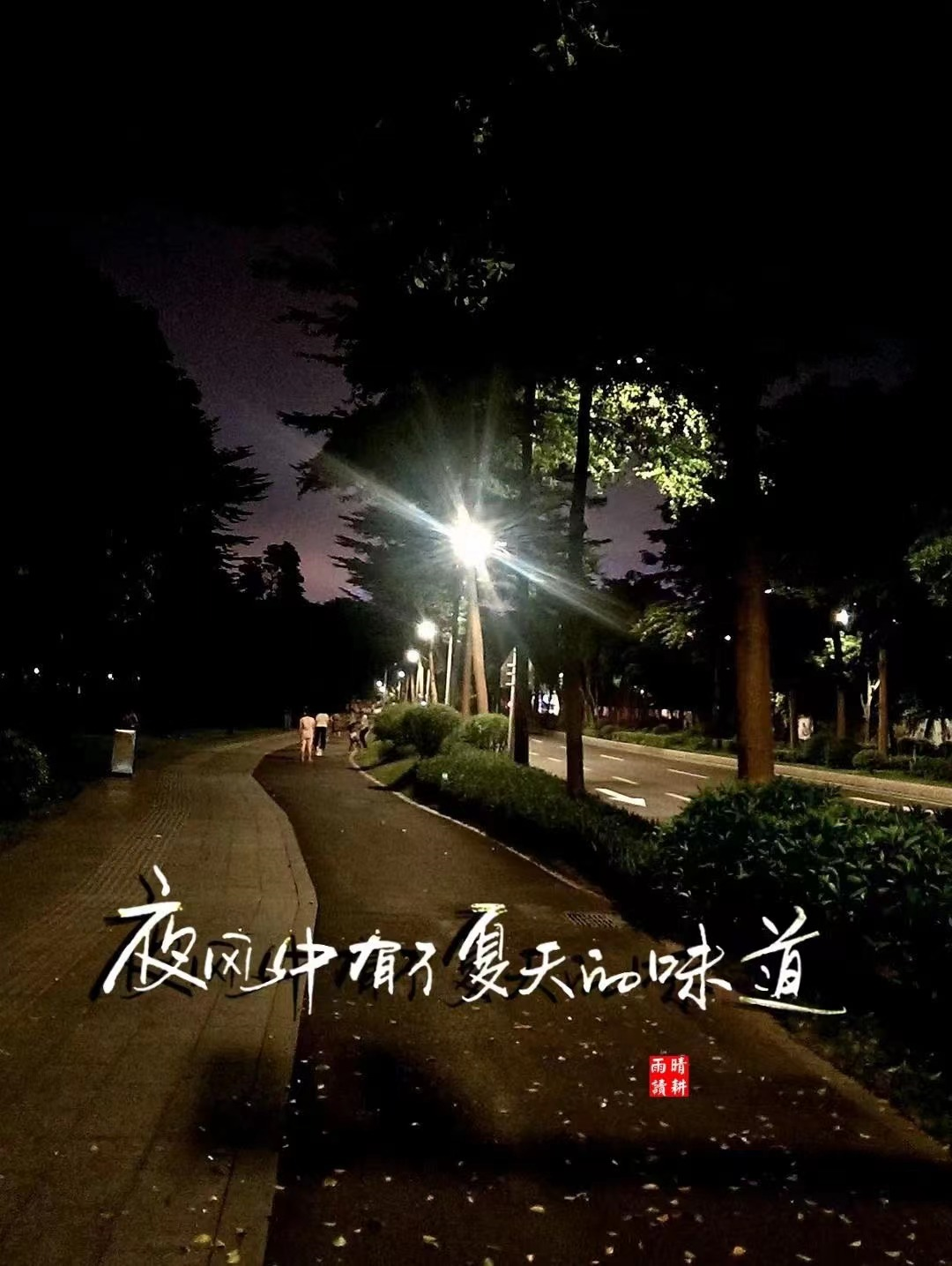 愿你不彷徨，向前闯，带着阵阵微风，点点星光