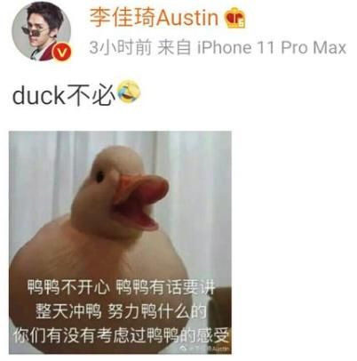 duck是什么意思网络用语（duck不必什么意思什么梗）