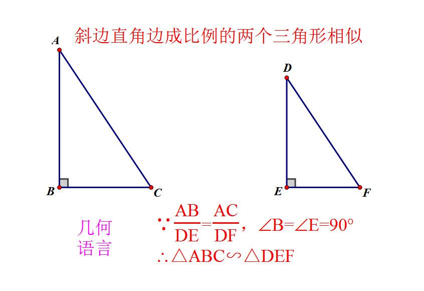 相似三角形的性质和判定小结