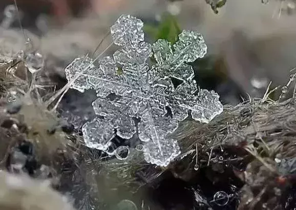 简析：水在4℃时密度最大的原理与水产养殖的关系