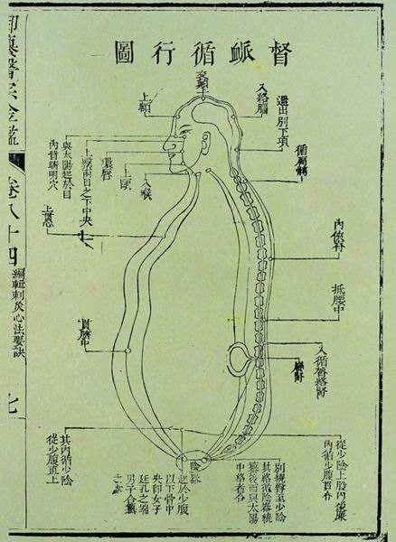 任督脉与营气的运行方向如何?