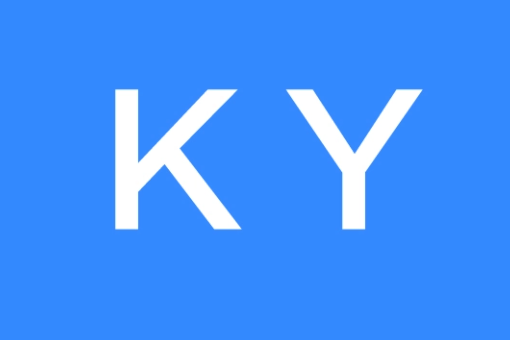 ky是什么意思(网络用语饭圈ky什么意思)